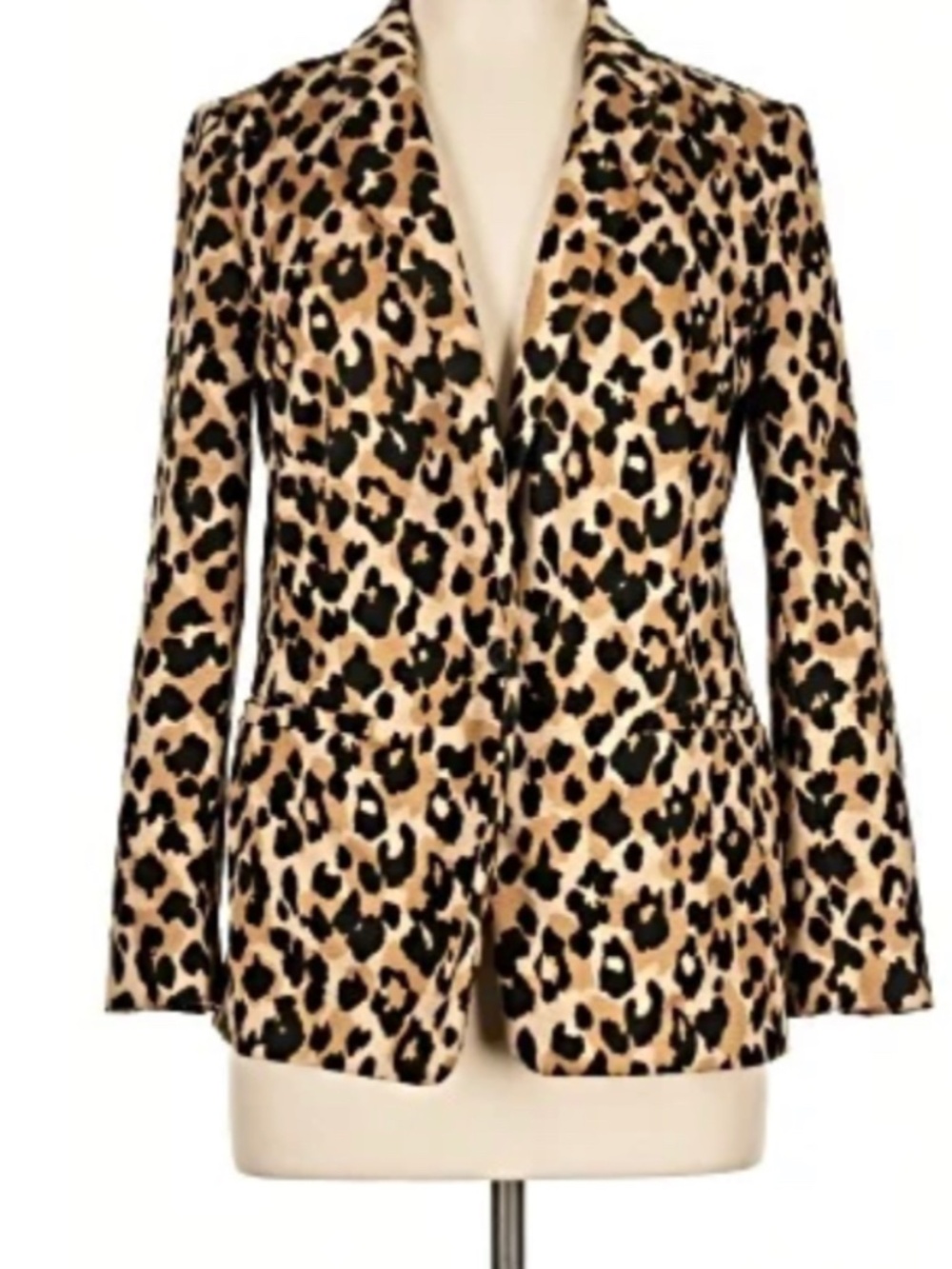 LOFT Petite XXSP Leopard Print Sweater Blazer Knit One Button Work Fall Fashion
